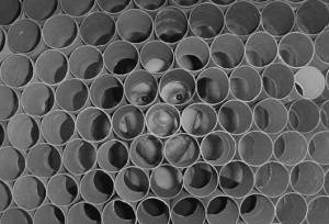 Dirck Toll - Before and After Intermission